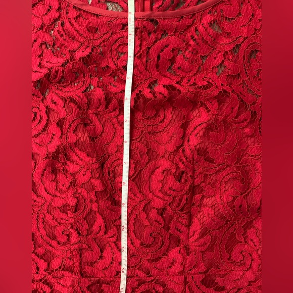 Banana Republic Red Lace Dress - Picture 7 of 11